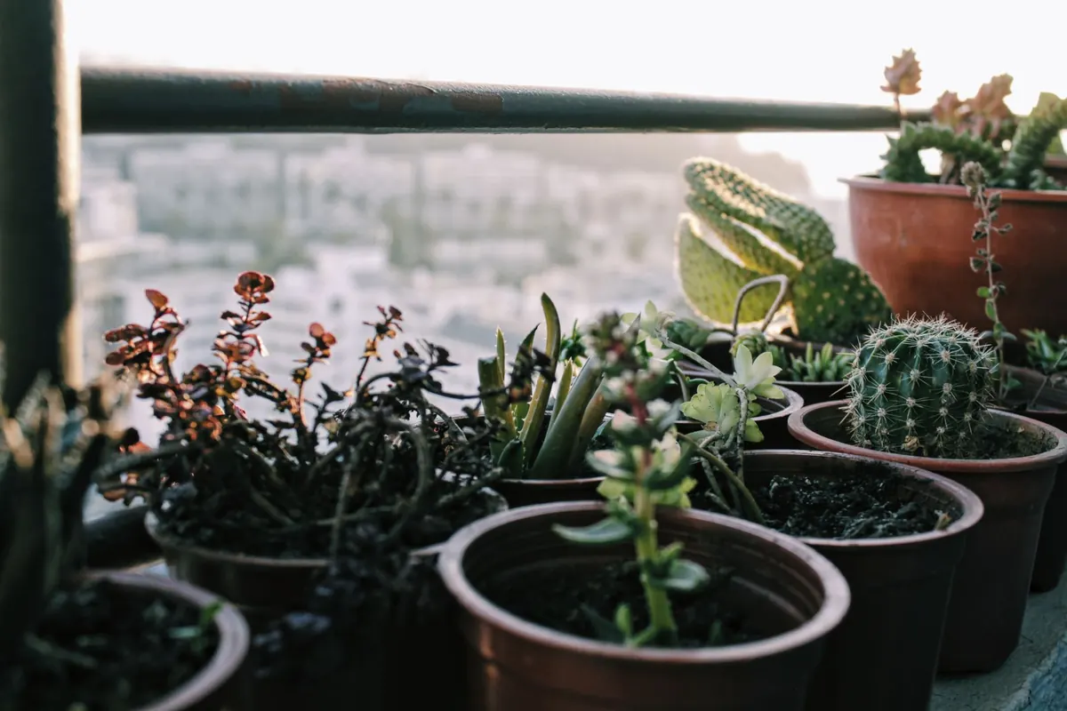 Small Balcony Decorating Checklist for Renters
